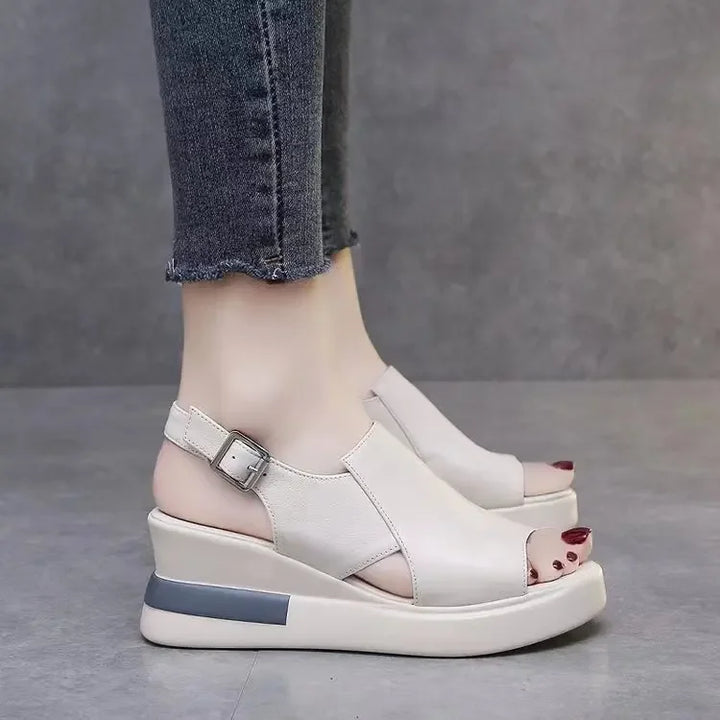 BRIELLE – PLATFORM SLIDES