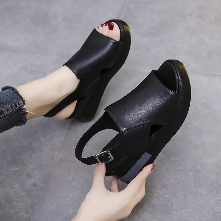 BRIELLE – PLATFORM SLIDES